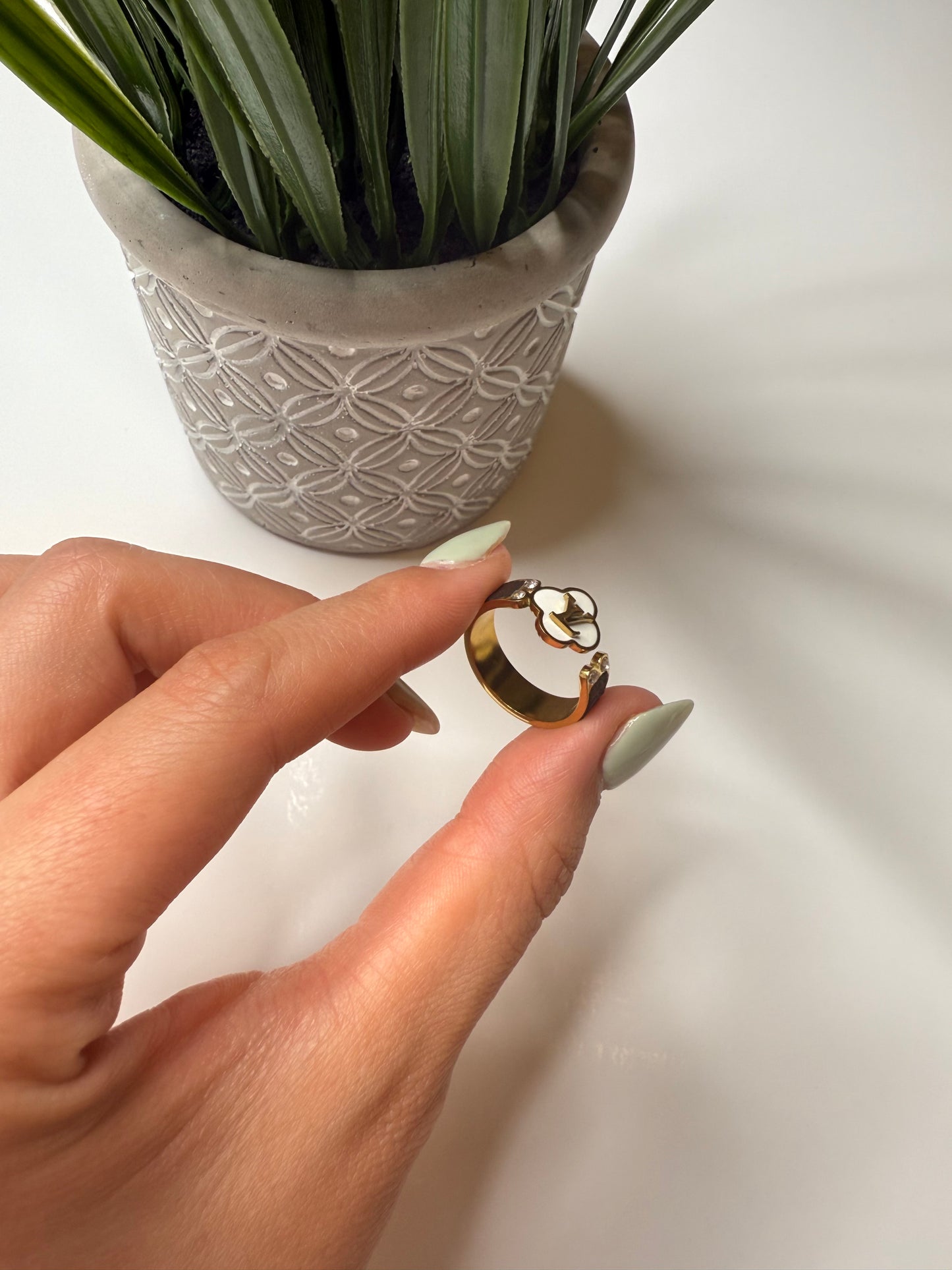 Stainless steel ring