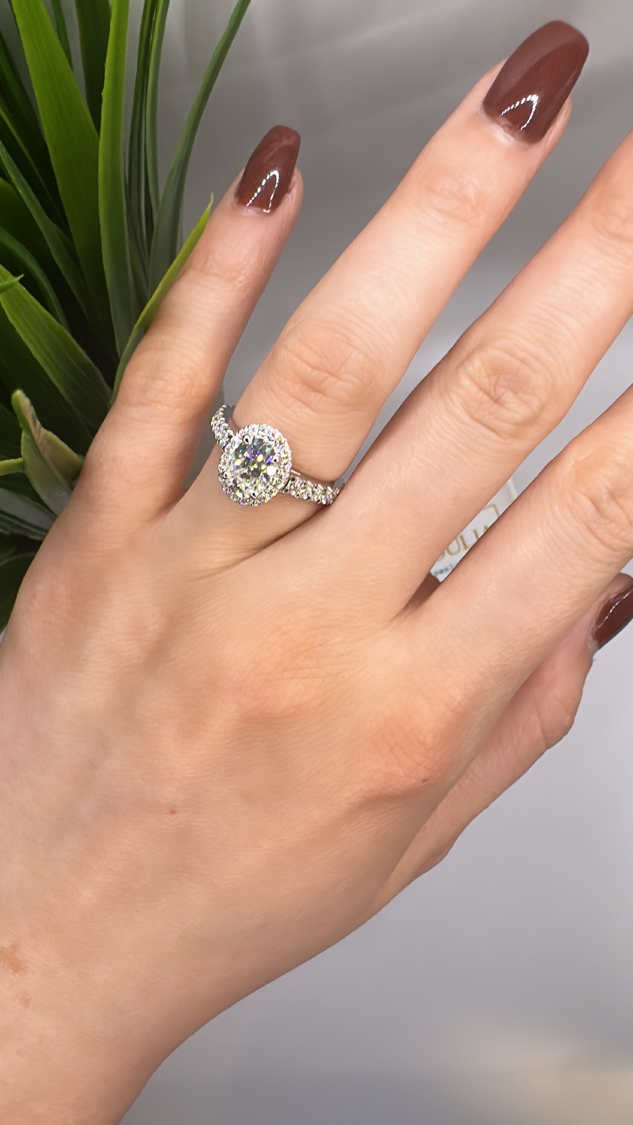 Solitaire oval Cut set
